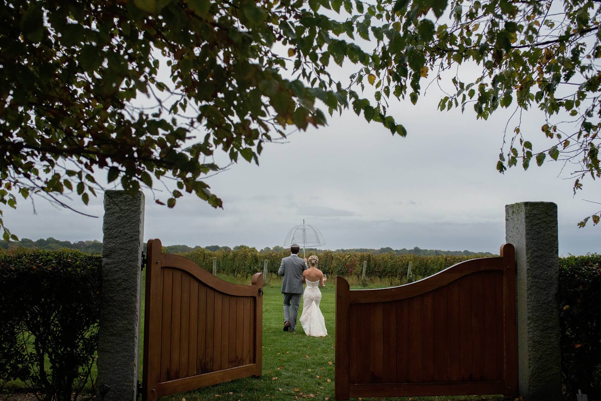 bride and groom walking towards vines under umbrella at a saltwater farm vineyard wedding