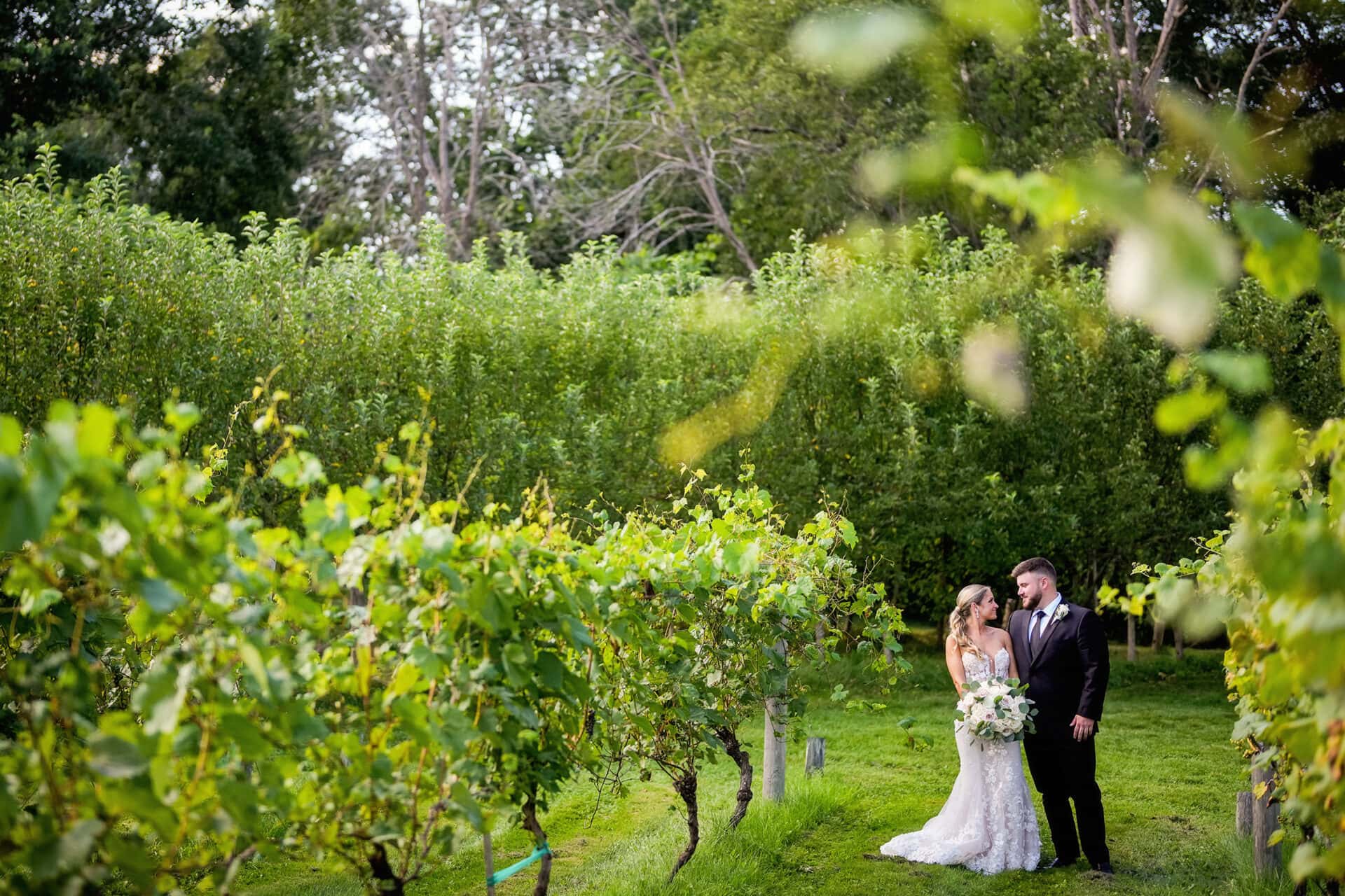 couple pose for a photo at a vineyard at their grove at briar barn inn wedding