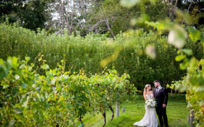 Grove at Briar Barn Inn Wedding: Kayla & Jeff